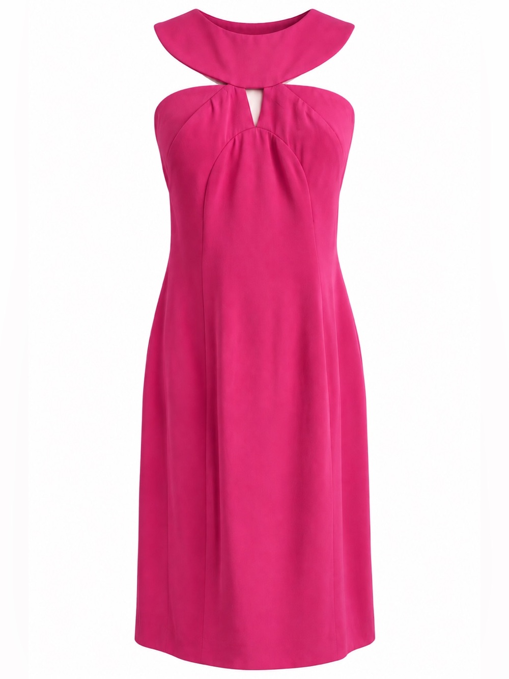 Hoaglund Pink Silk Dress 10 NWT